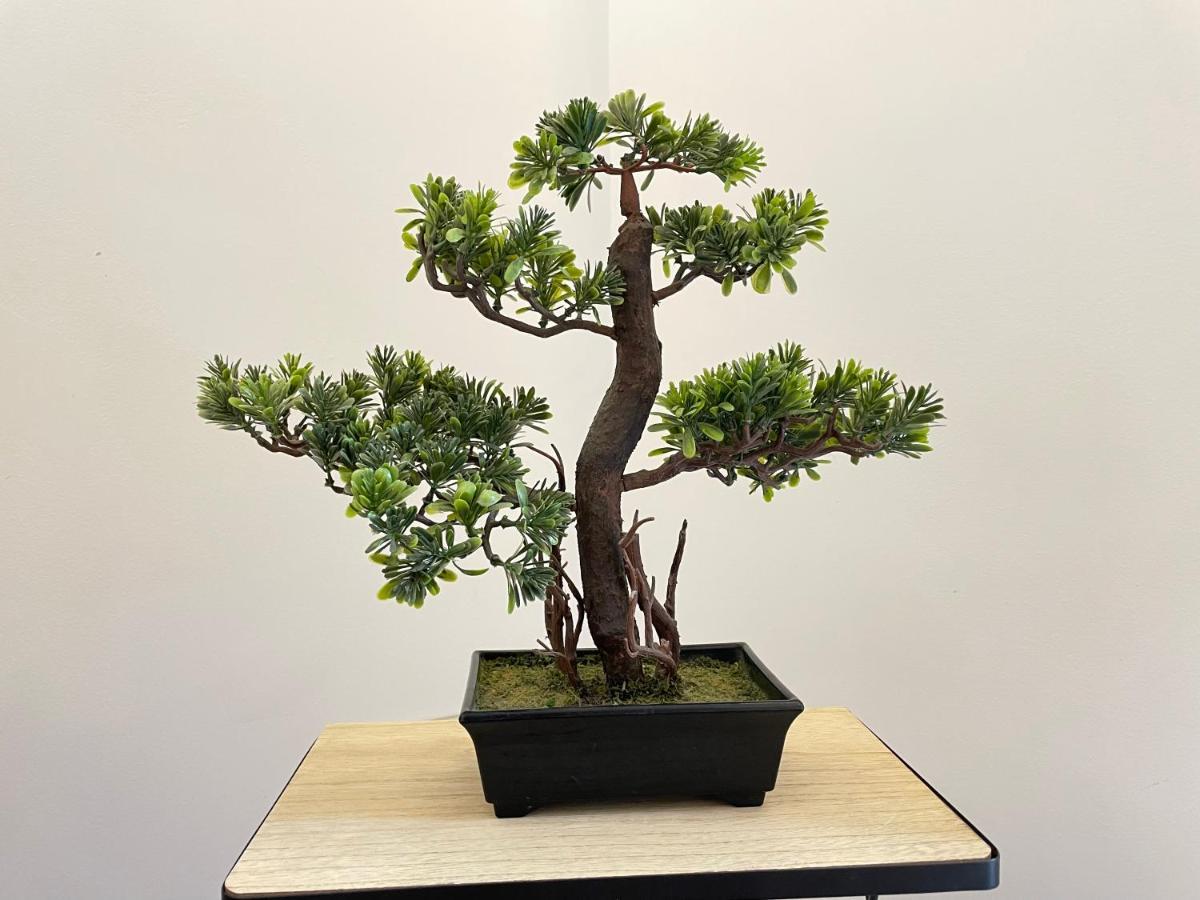 Gav Los Remedios Ronda Ngoại thất bức ảnh